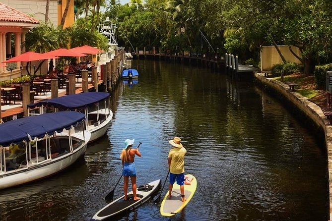 1 Hour Stand up Paddle Board Lesson for Beginners With 1 on 1 Instructor Guide - Overview and Details