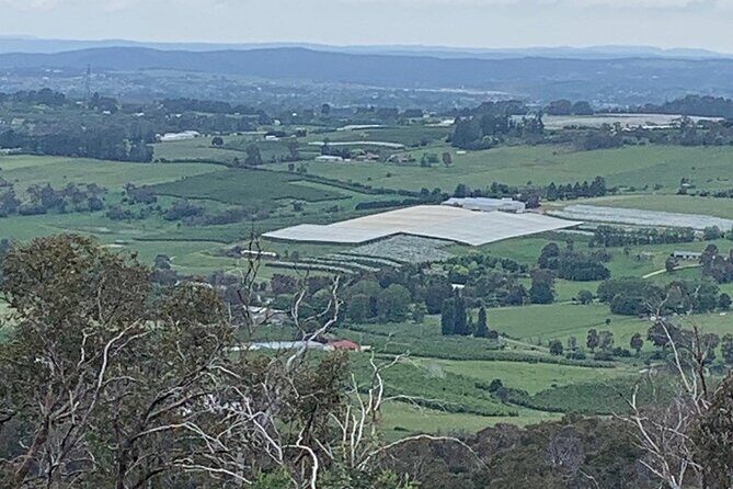 1 Hour Trike Tour for 2 in Mount and Lake Canobolas - What Makes This Tour Stand Out?