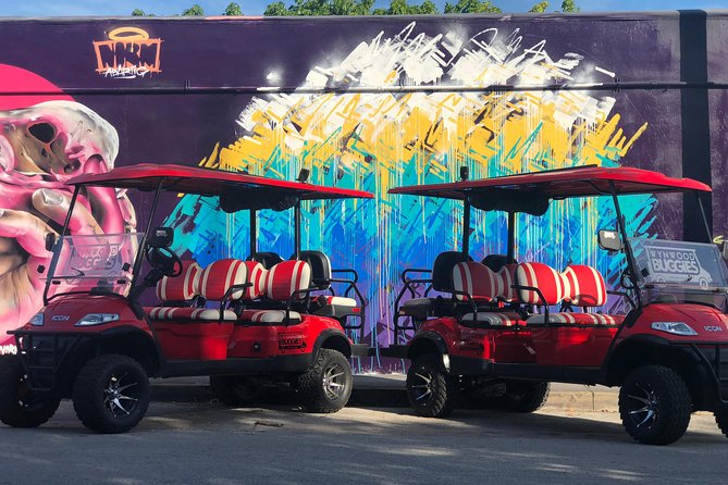 1 Hour Wynwood Street Art Tour - Reviews
