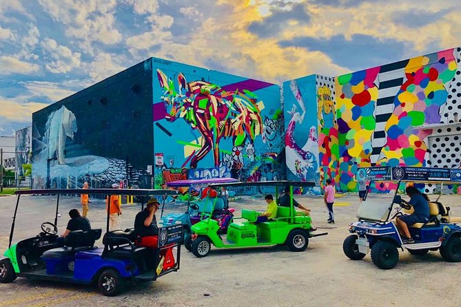 1 Hour Wynwood Street Art Tour - The Sum Up