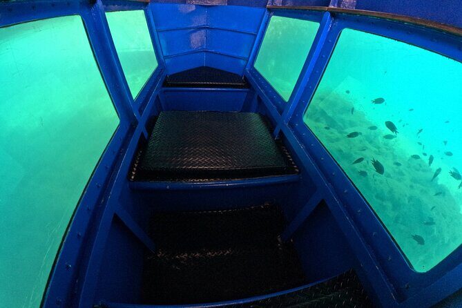 1 hr Reef Explorer in Port Vila harbour, Vanuatu - Who Is This Tour Best For?