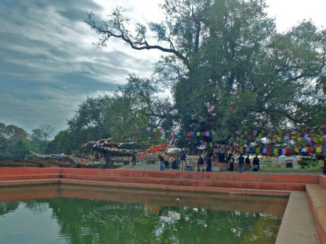 1 Month Ayurveda Retreats in Lumbini, Nepal - Private Group Option