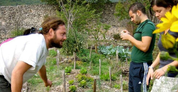 1 Month Permaculture and Sustainability Retreats in Chitwan - Experience Offered