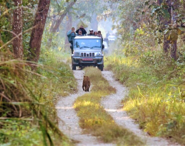 1 Night 2 Day Chitwan Jungle Safari Tour - Booking and Logistics