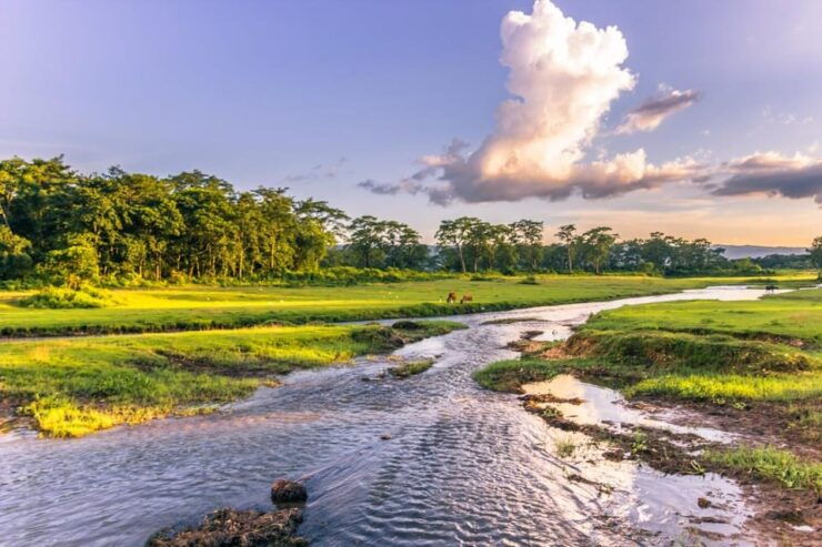1 Night 2 Day Chitwan Safari Tour Pokhara - Itinerary Breakdown
