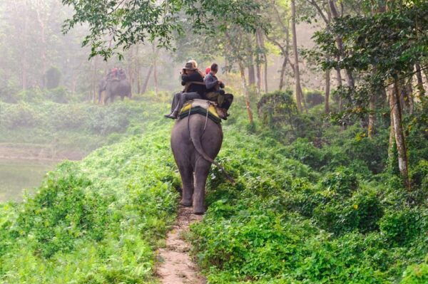 1 Night 2 Day Chitwan Safari Tour Pokhara - Inclusions and Amenities
