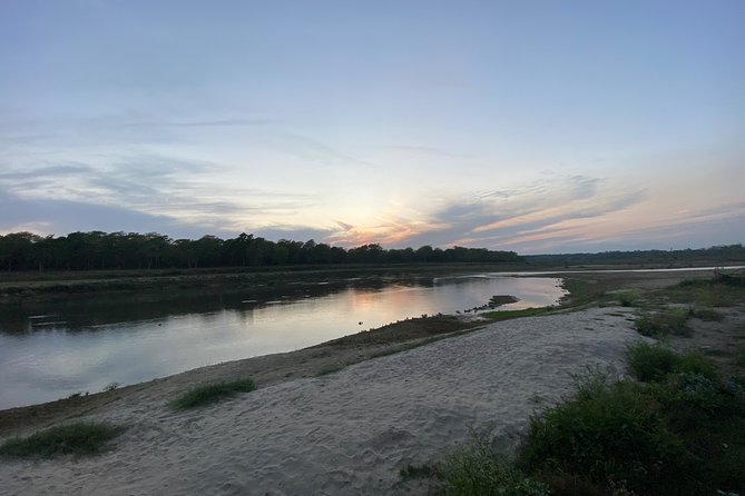 1 Night 2 Days Chitwan Jungle Safari Tour - Tour Itinerary