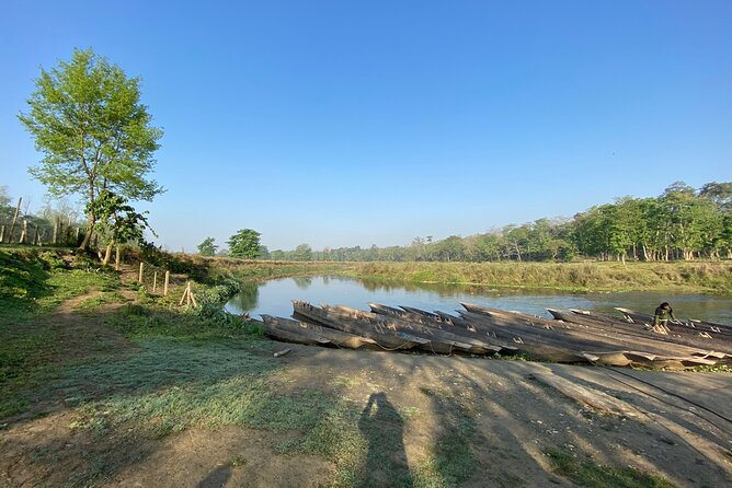 1 Night 2 Days Chitwan Jungle Safari Tour - Safety and Guidelines