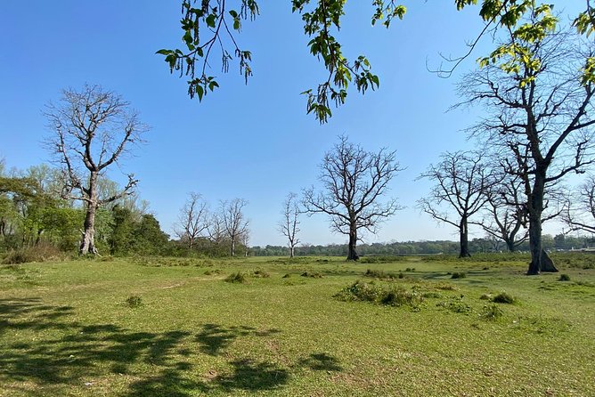 1 Night 2 Days Chitwan Jungle Safari Tour From Pokhara - Cancellation Policy and Refunds