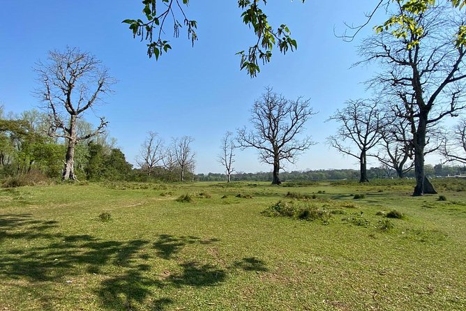 1 Night 2 Days Chitwan Jungle Safari Tour From Pokhara - Pricing and Terms