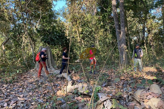 1 Night 2 Days Chitwan Jungle Safari Tour From Pokhara - Directions to Chitwan Jungle Safari Tour