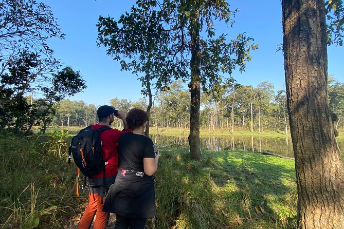 1 Night 2 Days Chitwan Jungle Safari Tour From Pokhara or Kathmandu - Transportation and Departure