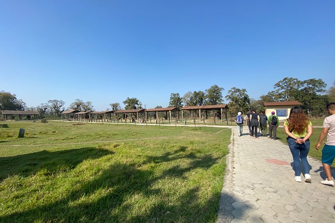 1 Night 2 Days Chitwan Jungle Safari Tour From Pokhara or Kathmandu - Common Questions