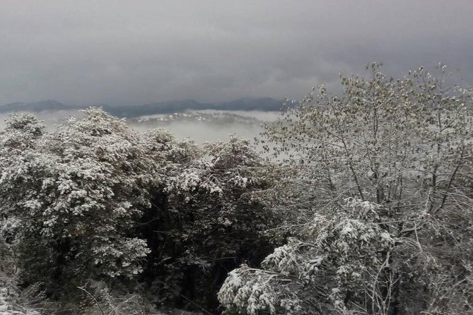 1 Night 2 Days Daman Tour - Meeting and Pickup Details