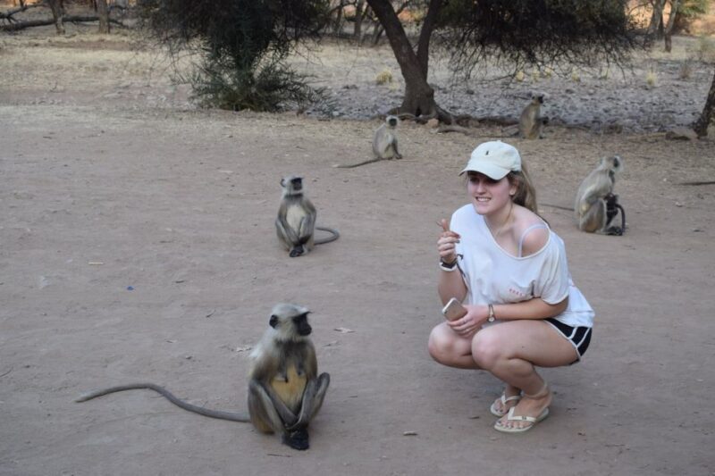 1 Night 2 Days Ranthambhore WildLife Tour From Jaipur - Practical Insights and What to Expect