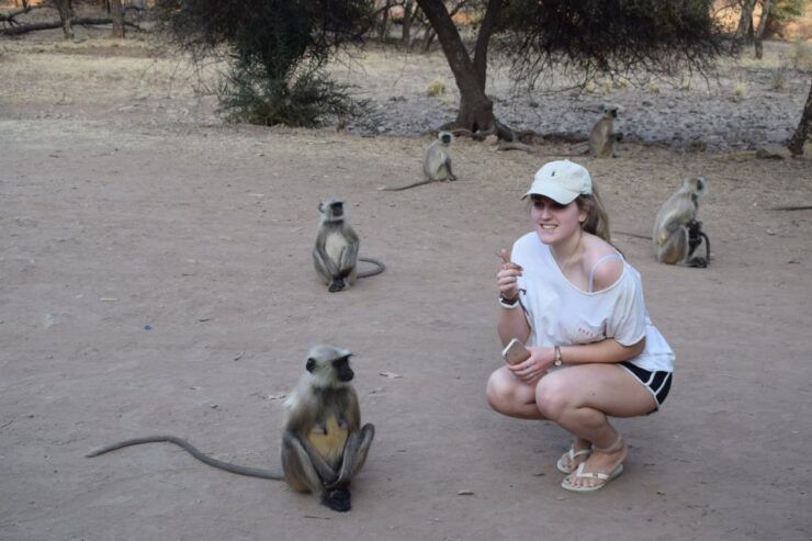 1 Night 2 Days Ranthambhore WildLife Tour From Jaipur - Itinerary Details