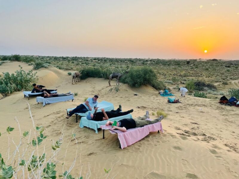 1 night 2 days Thar Desert Experience Jaisalmer - The Journey into the Thar Desert