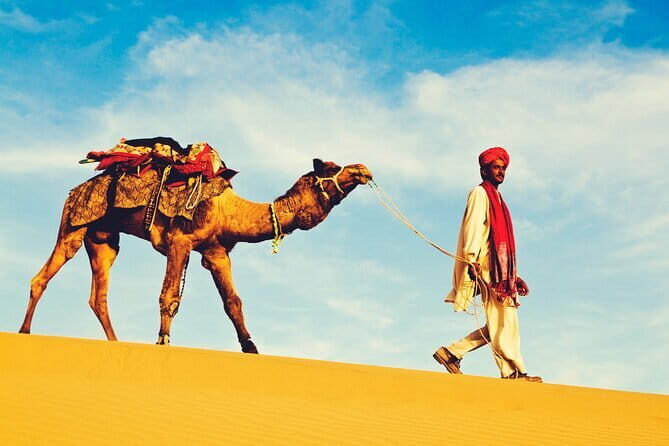 1-Night and 2-Days Thar Desert Safari Tour - Good To Know