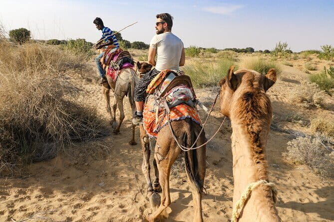 1-Night and 2-Days Thar Desert Safari Tour - A Deep Dive into the Desert Experience
