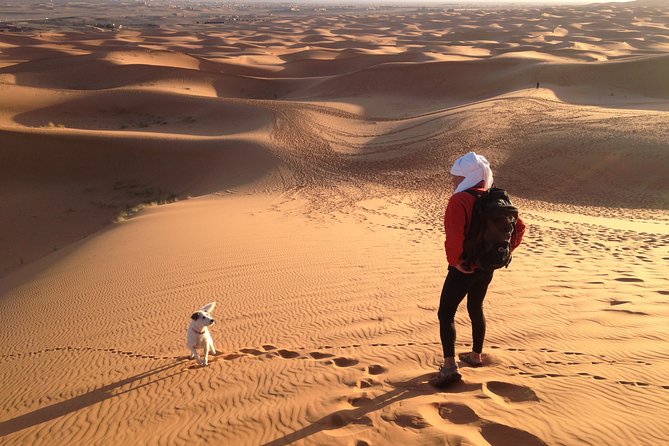 1 Night Bivouac Erg Chebbi Dunes From Todra Gorge - Aventures Verticales Maroc - Important Information