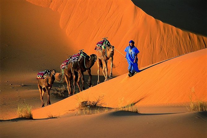 1 Night Camel Trek Bivouac From Merzouga - Overnight Experience in Merzouga