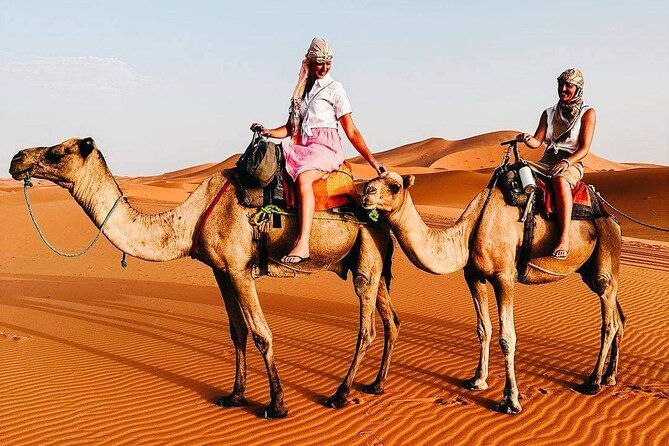 1 Night Camel Trekking in Desert Camp - Traveler Photos