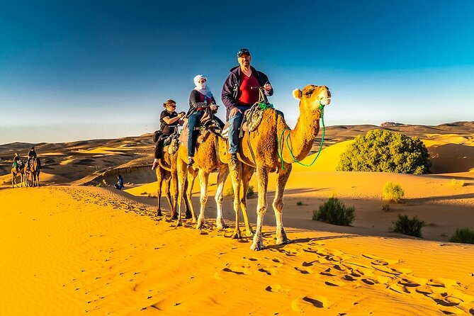1 Night Merzouga Camel Trekking - End Point