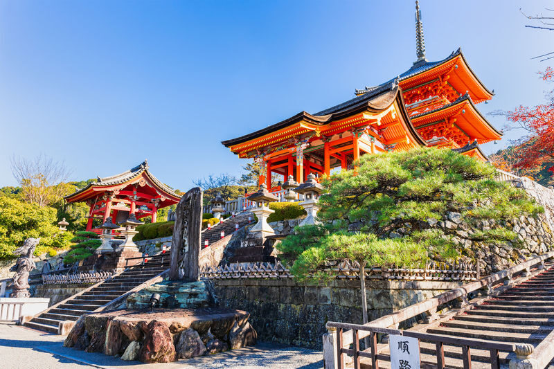 1 Person Group: Meet adorable deer, stroll through ancient capitals: Kyoto, Nara, Osaka Kansai classic panoramic one-day tour - Kyoto and Nara in one long day