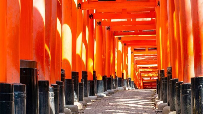 1 Person Group: Meet adorable deer, stroll through ancient capitals: Kyoto, Nara, Osaka Kansai classic panoramic one-day tour - Nara Park and its famous deer