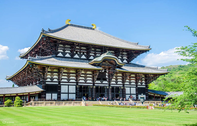 1 Person Group: Meet adorable deer, stroll through ancient capitals: Kyoto, Nara, Osaka Kansai classic panoramic one-day tour - Tōdai-ji’s Great Buddha