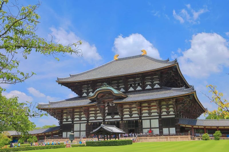 1 Person Group: Meet adorable deer, stroll through ancient capitals: Kyoto, Nara, Osaka Kansai classic panoramic one-day tour - What the price covers, and what it does not