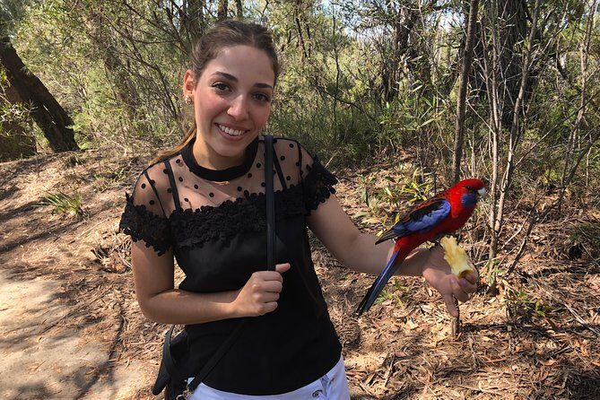 #1 Private Blue Mountains Tour by authentic story telling locals - Good To Know