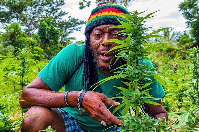 #1 Rasta Safari Experience and Ricks Cafe Tour Jamaica - Itinerary Details