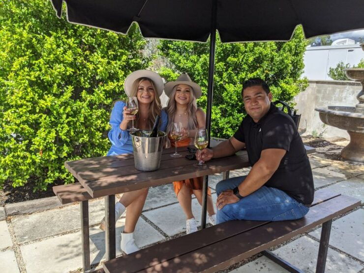 #1 Rated Wine Tour In Fredericksburg Texas - Experience and Tastings