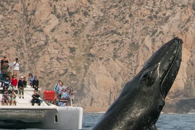 #1 Snorkeling Tour in Catamaran. Open Bar & Snacks Included - Common Questions