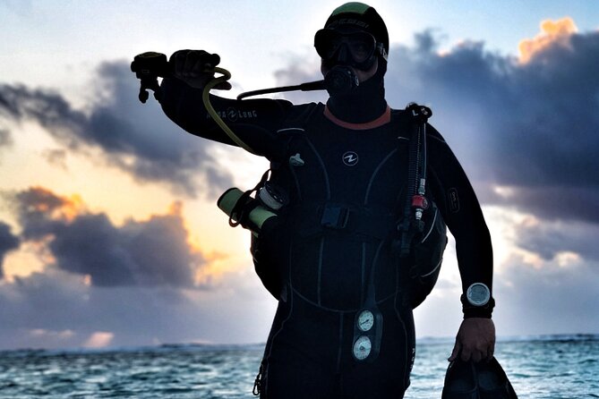 1 Tank Dive for Certified Divers - Overview and Experience