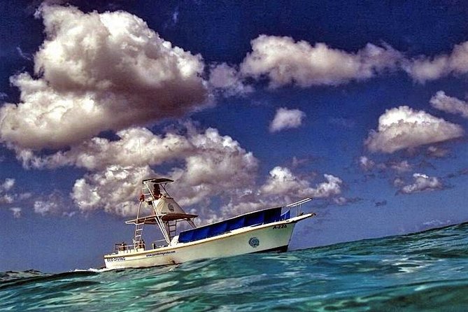 1-Tank Guided Night Dive for Certified Divers With Own Equipment - Whats Included