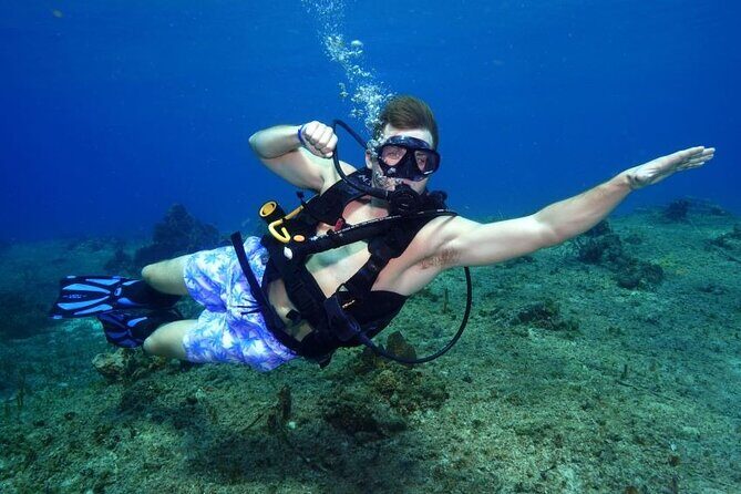 1 Tank Guided Shore Dive Including Equipment - Good To Know