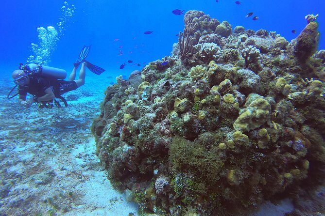 1 Tank Guided Shore Dive Including Equipment - Introduction to the Shore Dive Experience