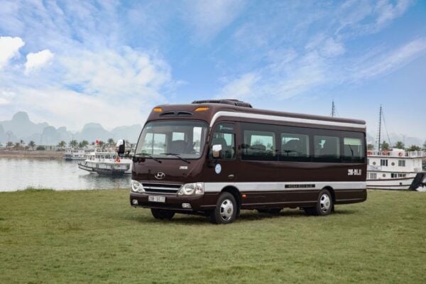 1-Way Transfer Between Hanoi and Ha Long via Limousine Bus - Customer Reviews and Feedback