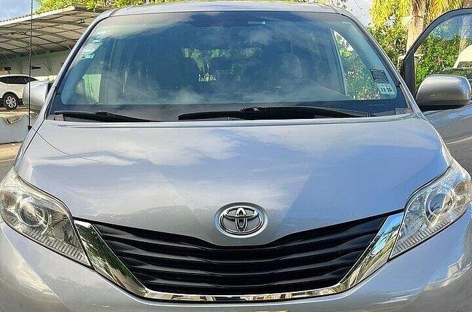 1 Way Transfer Miguel's BonVoyage PUJ Airport to Bayahibe or Bayahibe to PUJ - What the Transfer Means for Your Trip