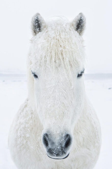 1 Week Luxury Iceland Aurora Borealis Photography Workshop - Luxury Accommodations
