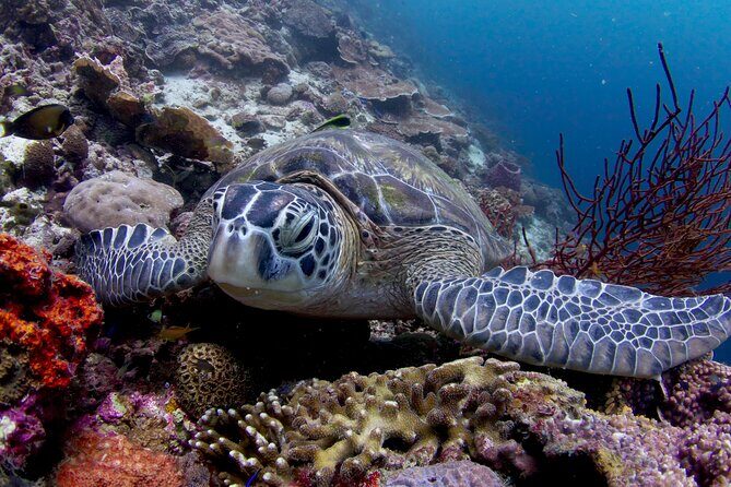 1-Week Philippines Package to Cebu and Palawan - FAQ