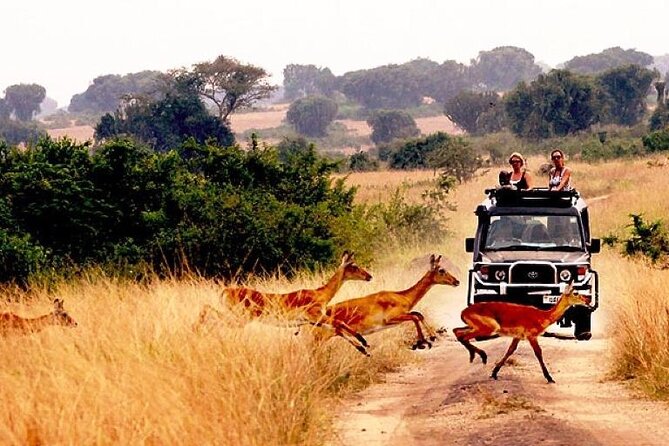 10-Day African Safari in Uganda From Kampala - Meal Inclusions