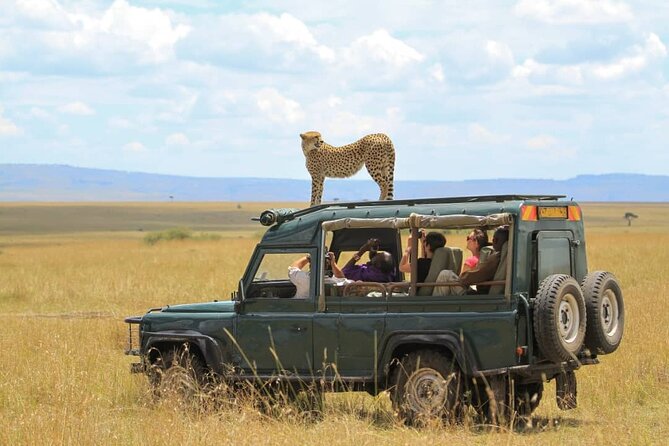 10-Day African Safari in Uganda From Kampala - Additional Booking Information