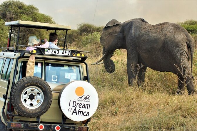 10-Day Amazing Comfort Camping Safari - Safari Activities
