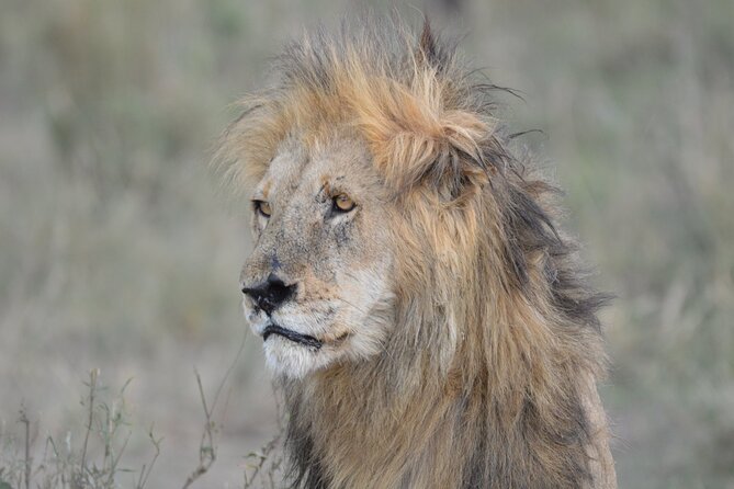 10-Day Amazing Comfort Camping Safari - Packing List