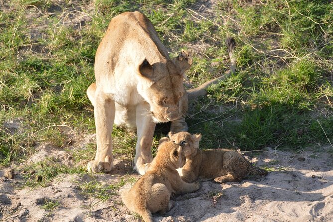 10-Day Amazing Comfort Camping Safari - Booking Information