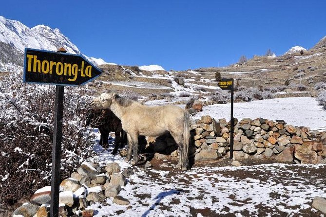 10-Day Annapurna Circuit Trek in Nepal - Altitude Acclimatization