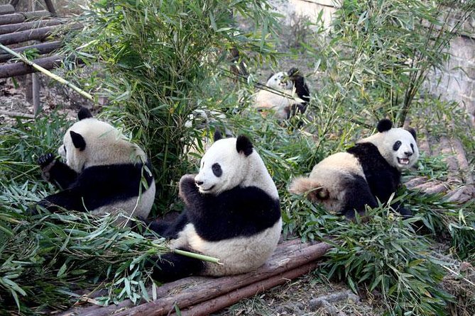 10-Day China Tour to Beijing, Xian, Chengdu and Shanghai - Day 1: Arrival in Beijing